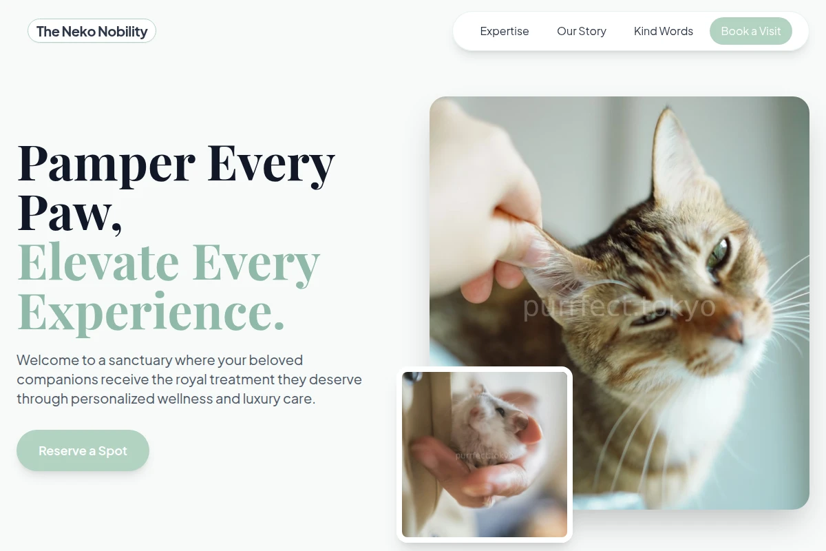 Feather Animal Care