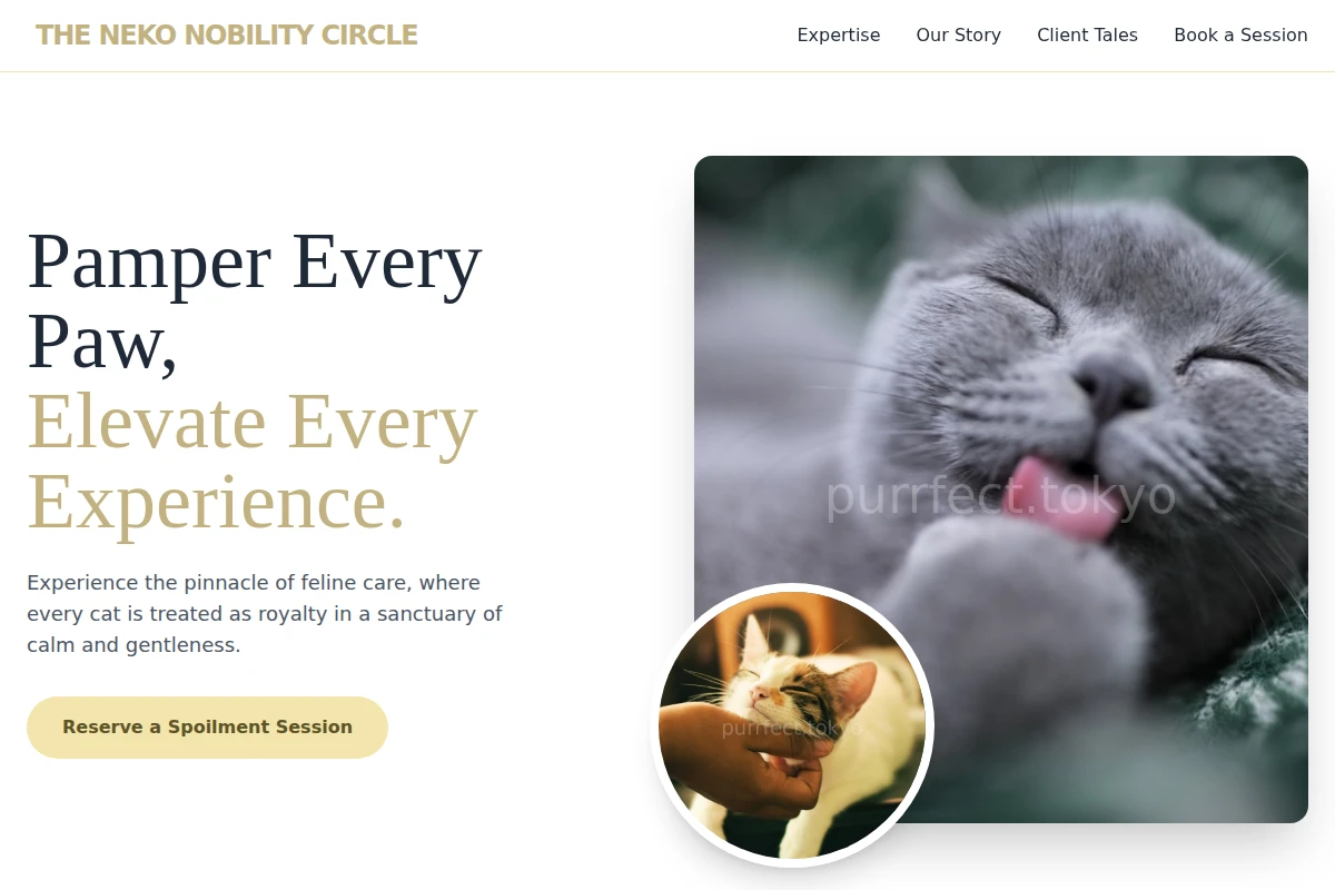 Bloom Cat Grooming